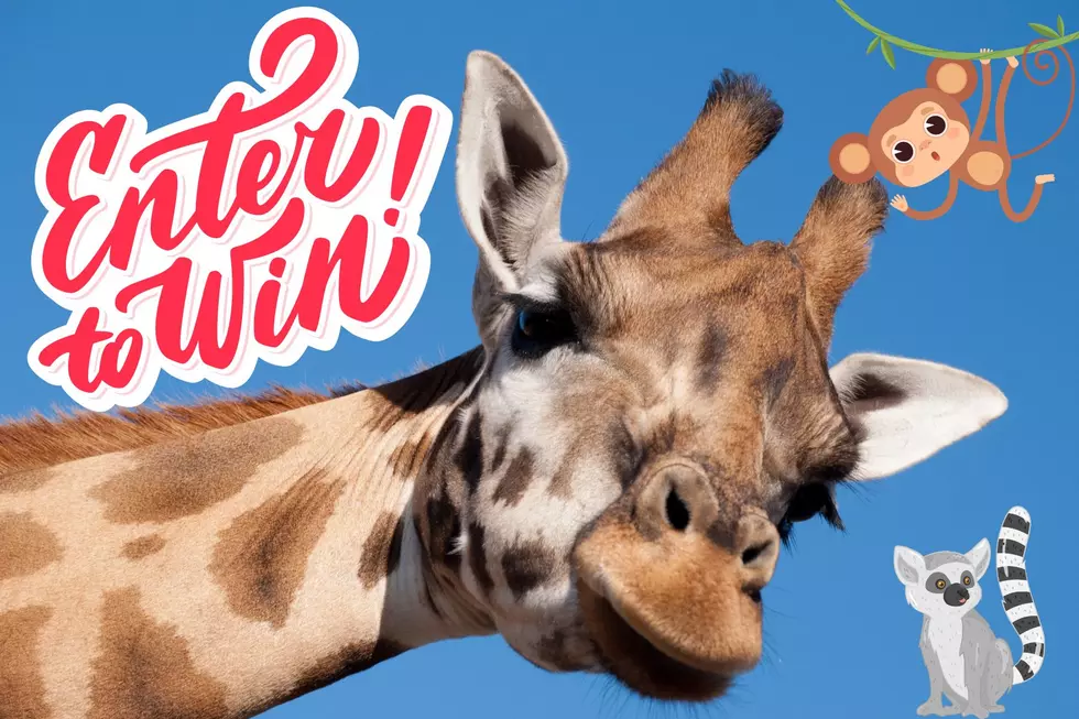 Win a Family 4-Pack to Binder Park Zoo in Battle Creek