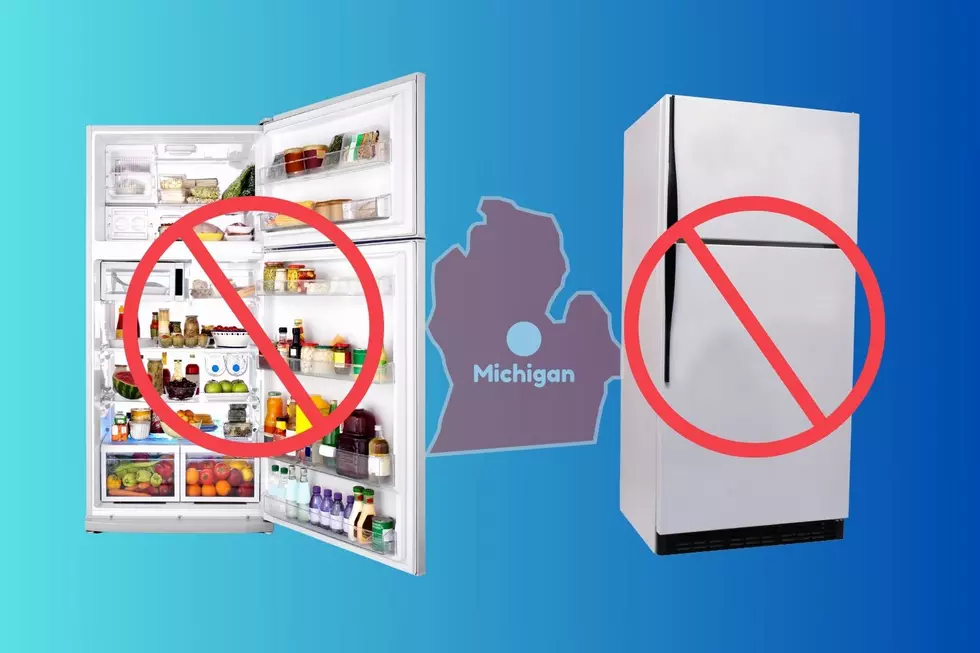 Soon Specific Refrigerators Will Be Banned in Michigan