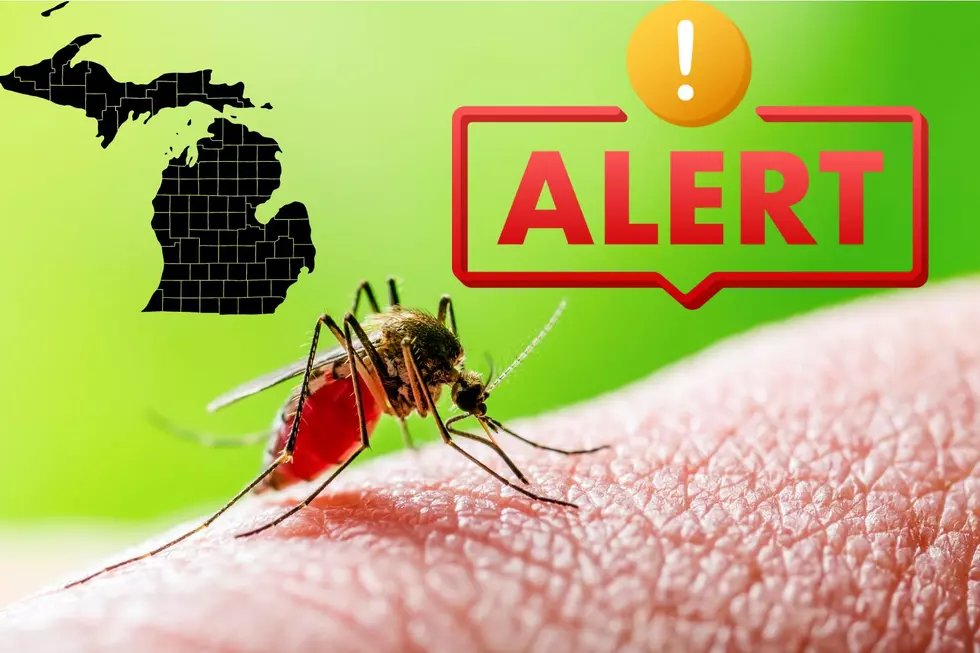 ALERT: Michigan Residents Warned Of Severe Illness From Bug Bites