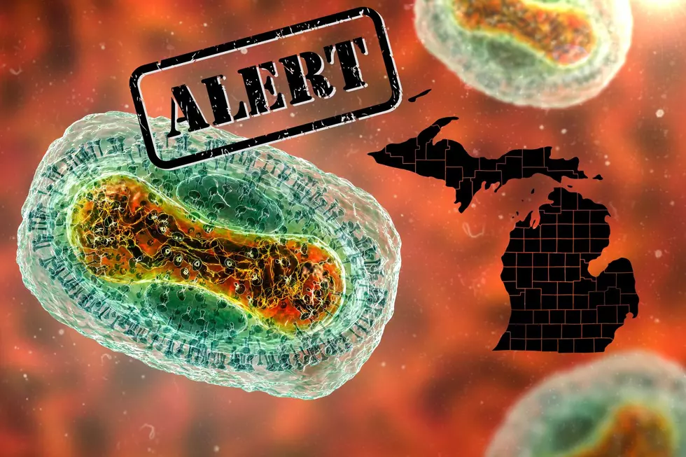Officials Warn Deadly Virus Confirmed In Several Michigan Counties