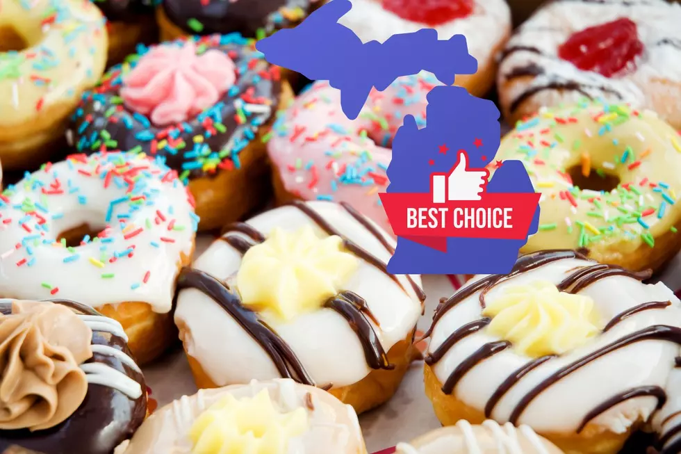 Michigan Spot Named One Of The Best Donut Shops In The Nation