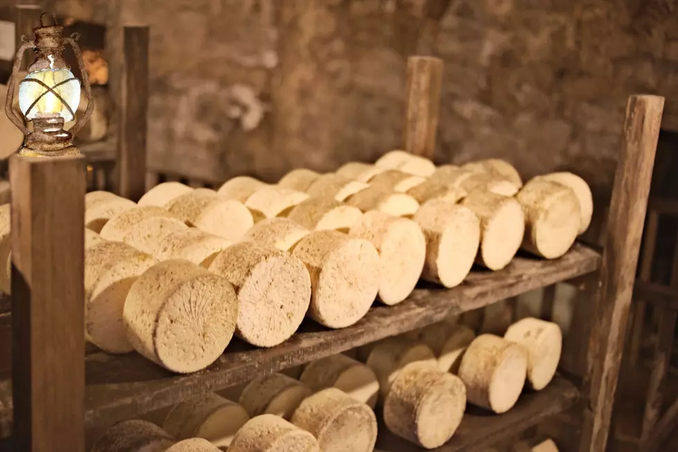 cheese cave michigan