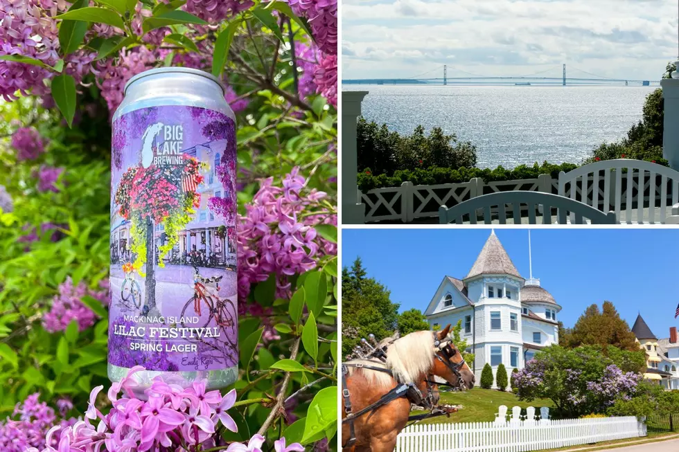 West Michigan Brewery Releases Special Lager Celebrating Lilac Festival