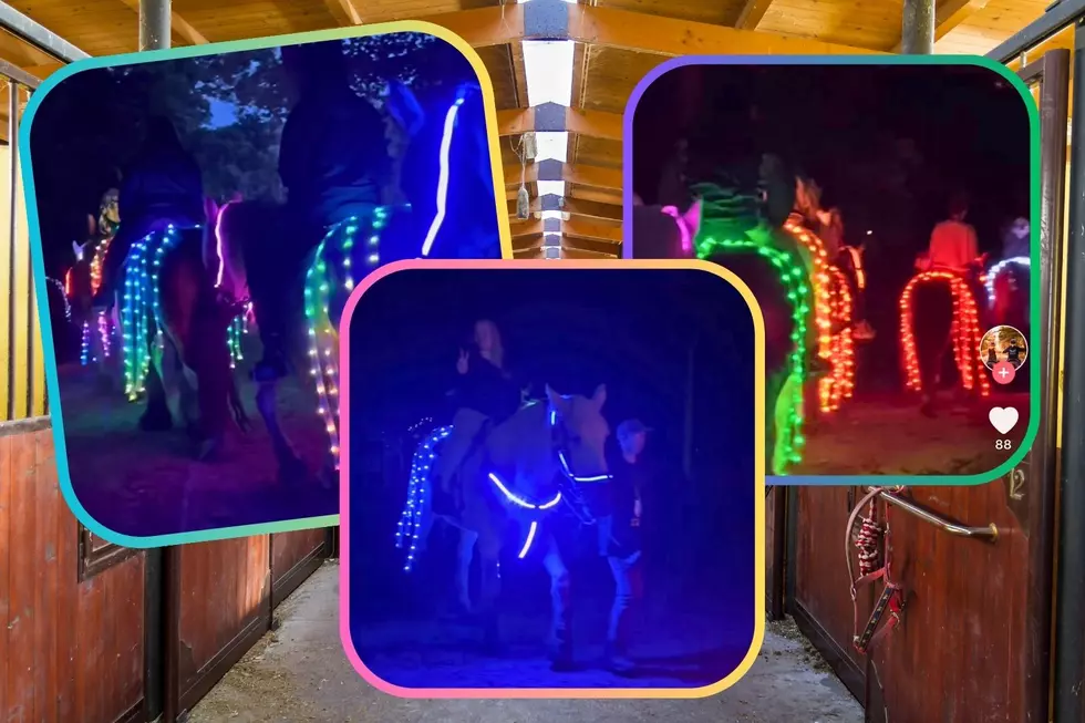 West Michigan Ranch Offers Glow in the Dark Horseback Rides