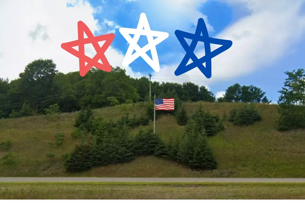 Located Along Michigan’s US-31 This Roadside Memorial Is More Than A Star