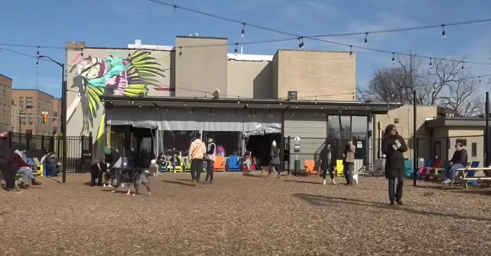 Barkside Detroit