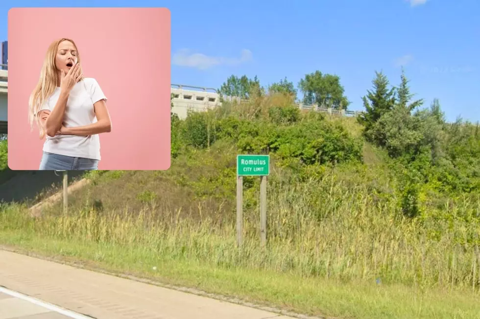Romulus is one of the most boring cities in Michigan