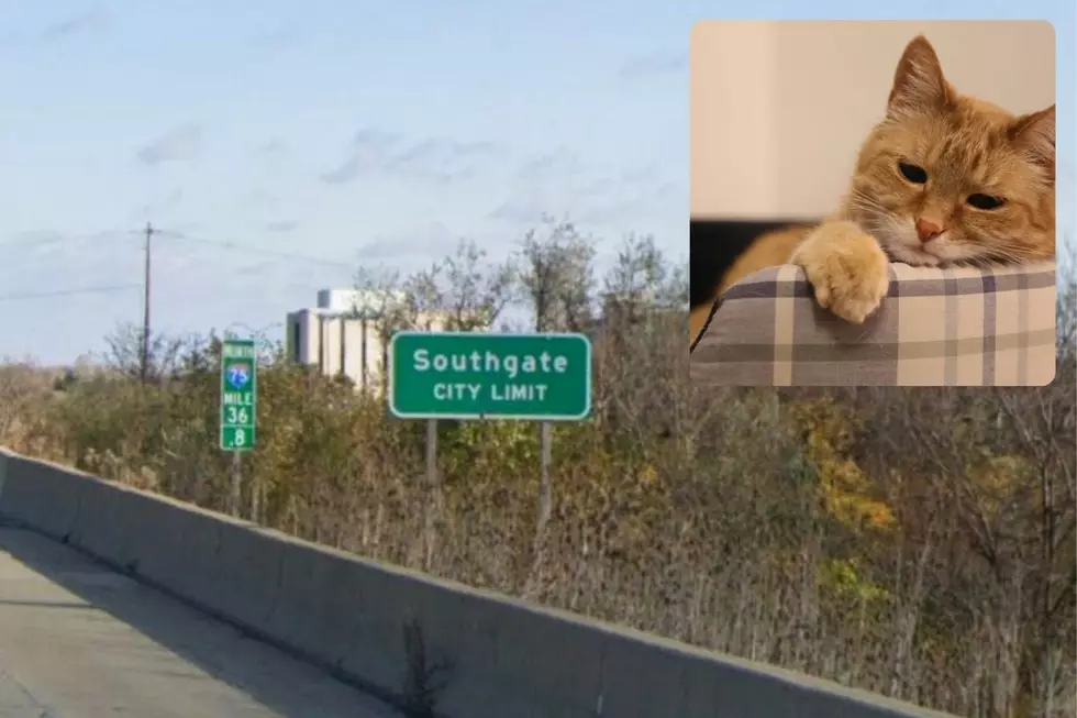 Southgate is one of the most boring cities in Michigan