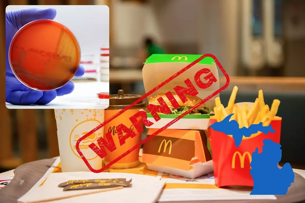 Michigan Residents Sick With E. Coli Linked to McDonald’s Quarter Pounder