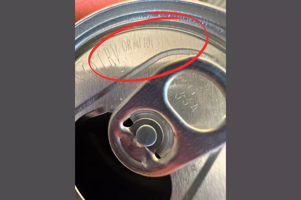 Michigan Bottle Return Law