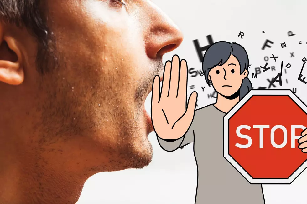 Skibidi and 9 Other Annoying Words Are Banned in Michigan in 2025