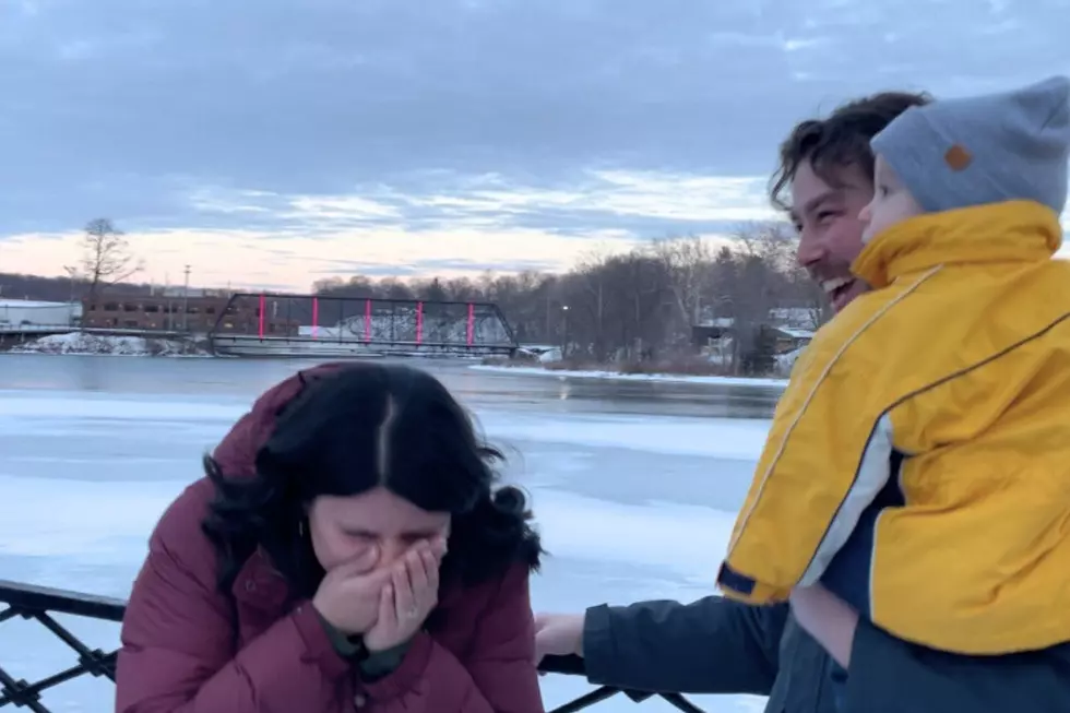 Allegan Bridge gender reveal