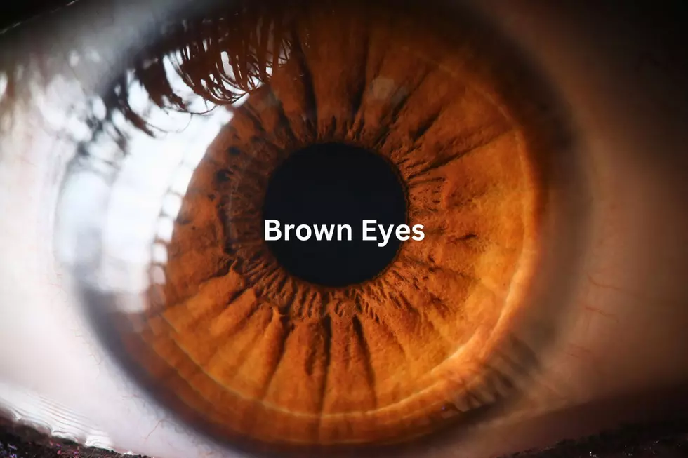Brown Eyes