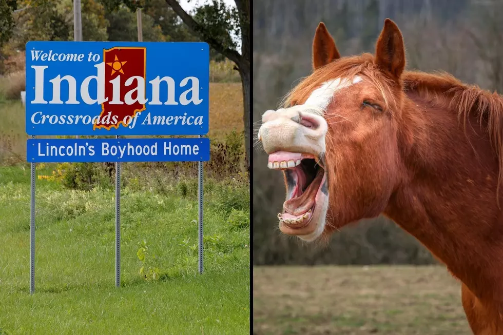 Open AI Roasting Indiana