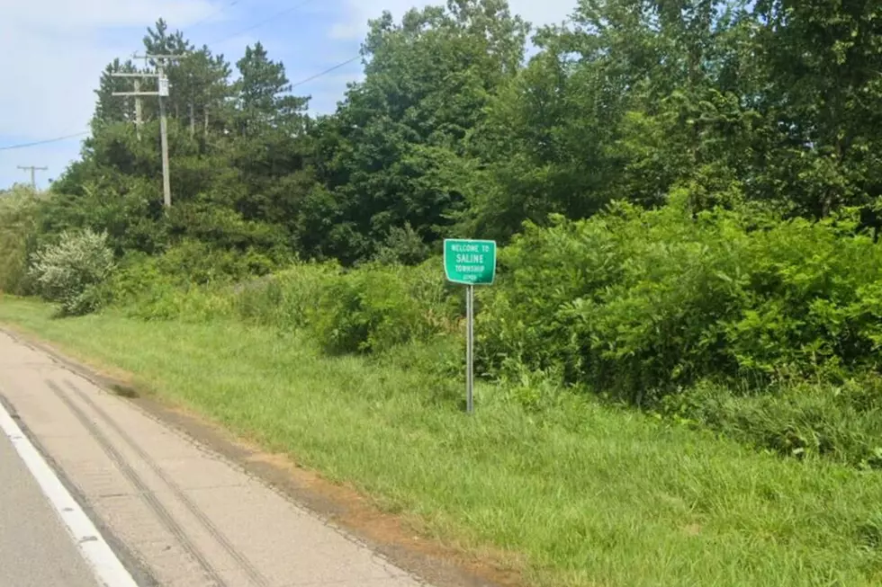 Saline township