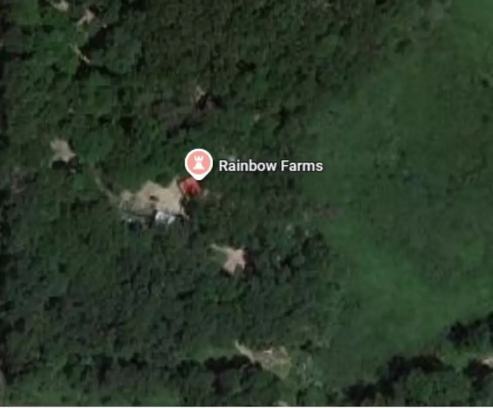 Rainbow Farms