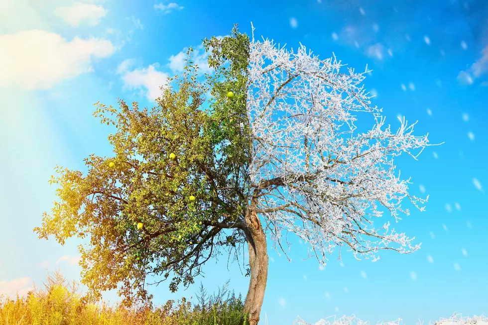 Extreme Summer and Winter temps in Michigan