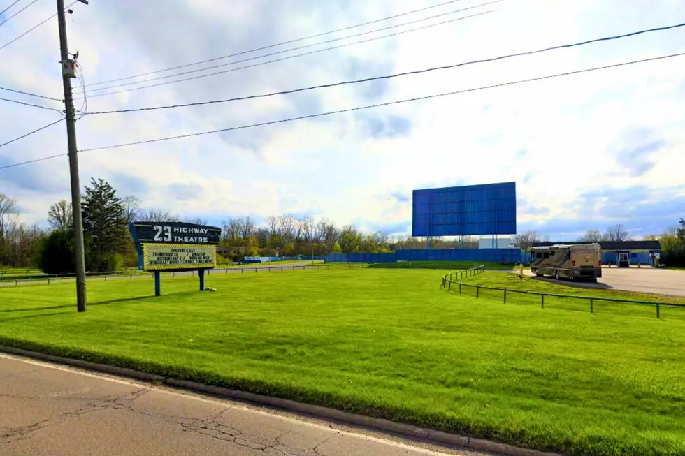 US 23 Twin Drive-In in Flint