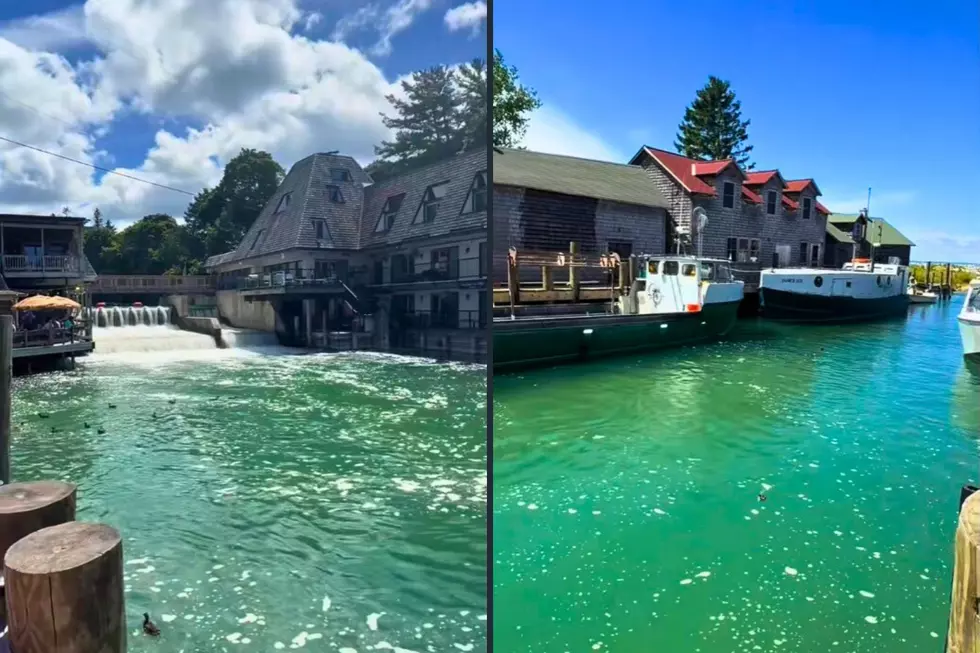 julietteamie on TikTok