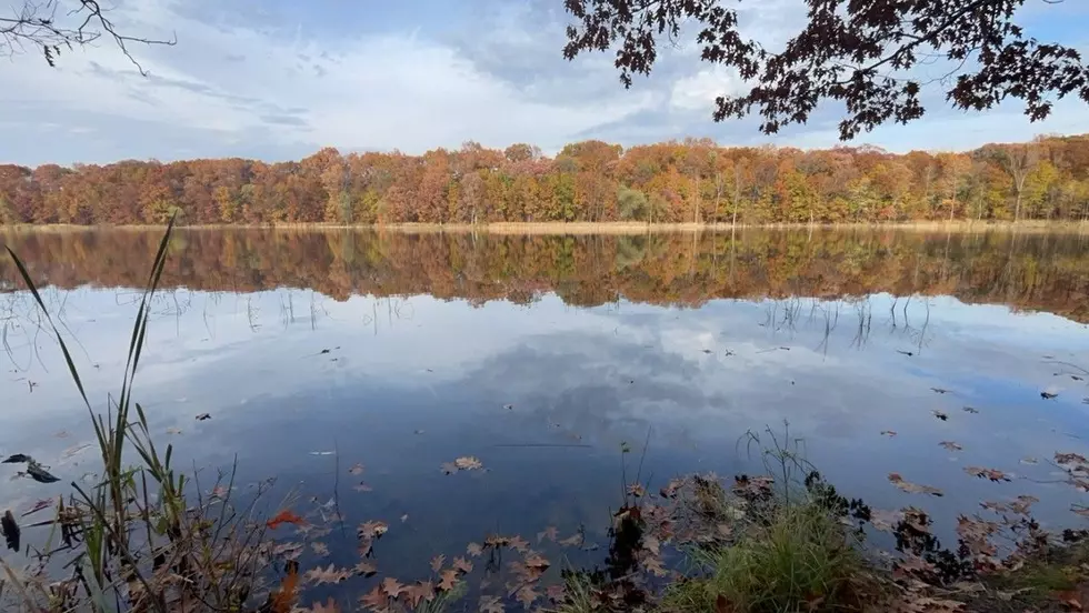 Asylum Lake Preserve