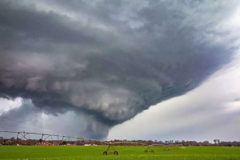 Lyle Hargus - Scotts, Michigan