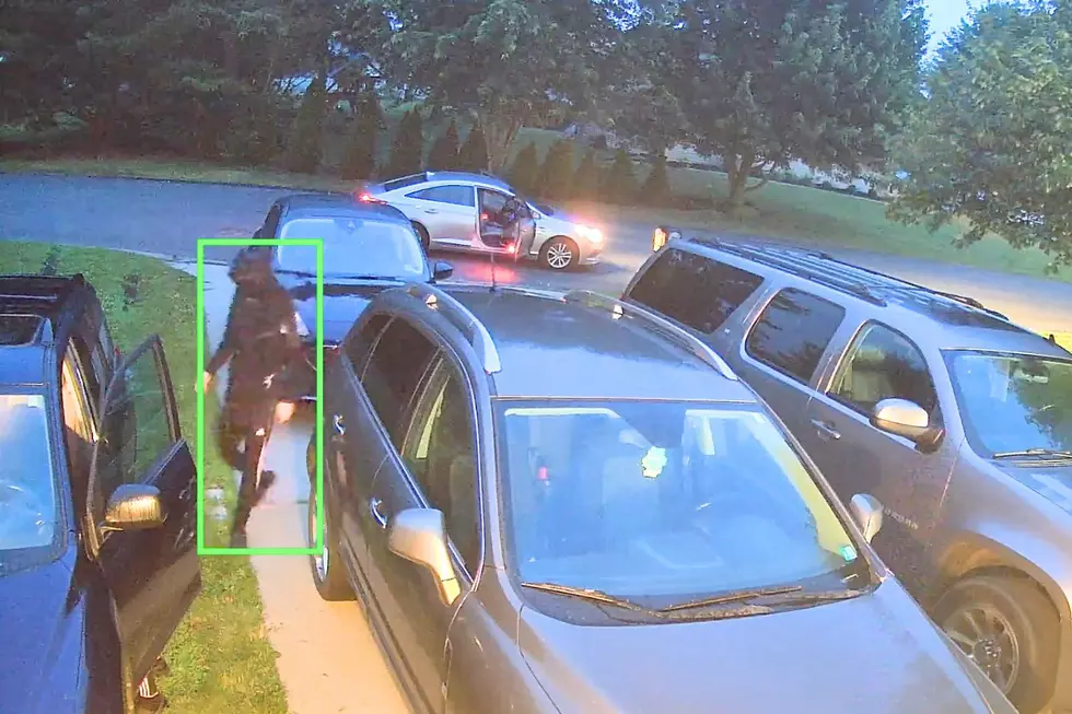 Two Men In Adidas Tracksuits Hit Valleywood Cars Before Sunrise