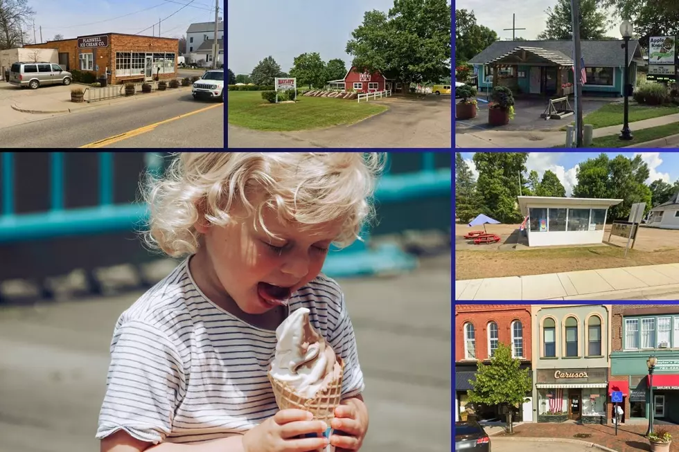 Nearly 5000 Votes Crowned The Best Ice Cream Shops In Southwest Michigan