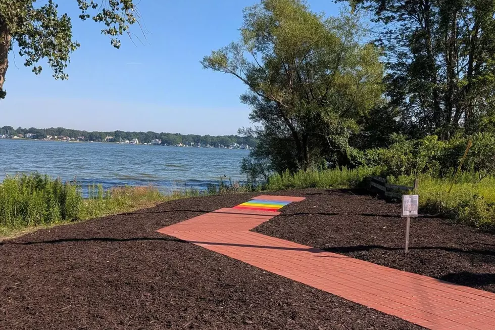 West Michigan’s Newest Pet Memorial Aims To Honor Cherished Companions