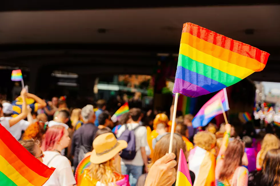 Storms Force Allegan to Postpone Pride Celebration