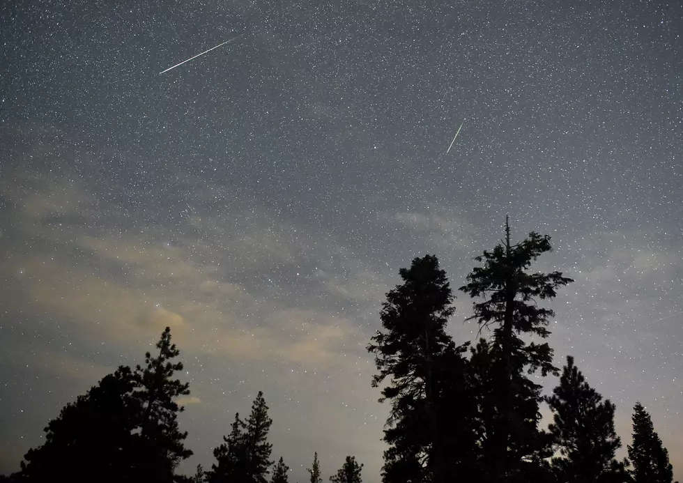 Moonless Skies Boost Perseid Meteor Shower Views for Michigan