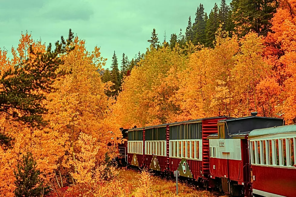 Fall Foliage Train Rides Across Michigan Offer Open-air Cars And Autumn Views