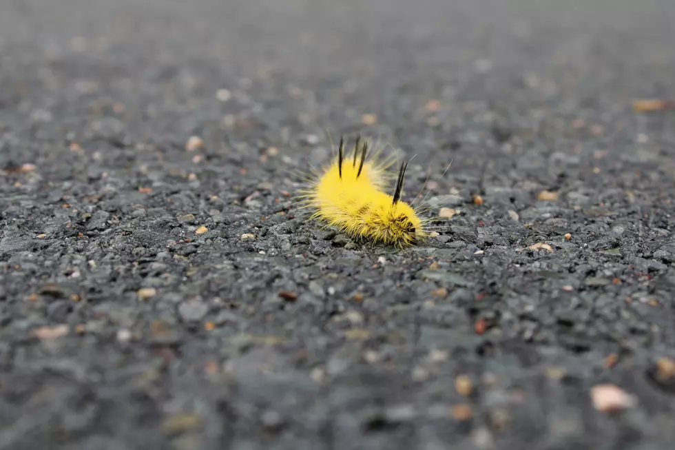 Photo by Ben Marler on Unsplash