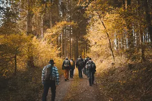 7 Pure Michigan Experiences I Can’t Wait to Try This Fall