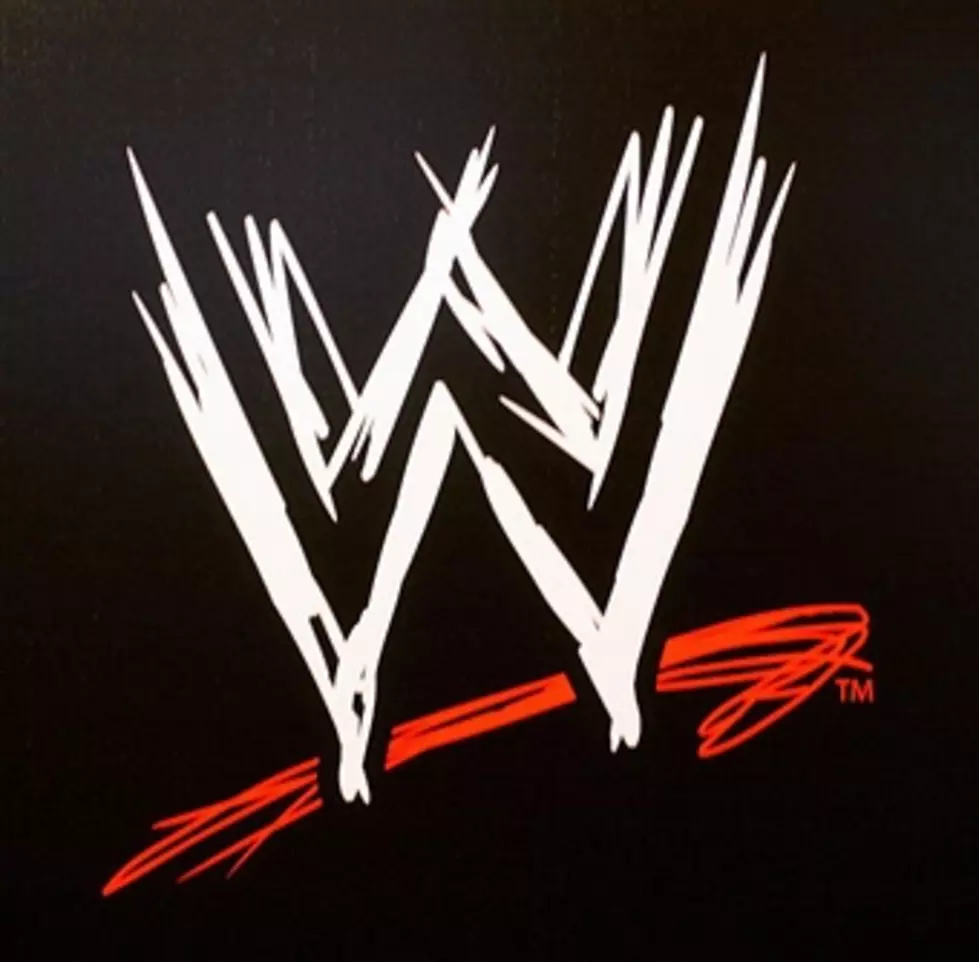 WWE Superstar Damien Sandow