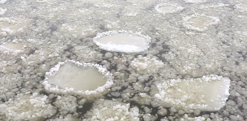 Giant Ice Balls and Ice Pancakes Where Grand River Meets Lake Michigan [VIDEO]