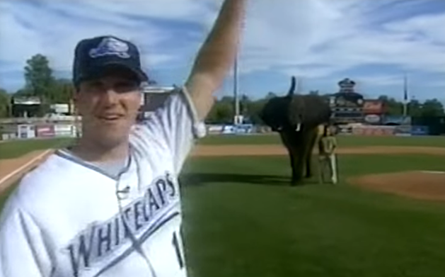That One Time an Elephant Threw Out the First Pitch at a West Michigan Whitecaps Game [VIDEO]