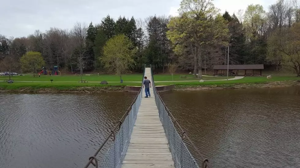 See The Only Pedestrian Suspension Bridge In Michigan