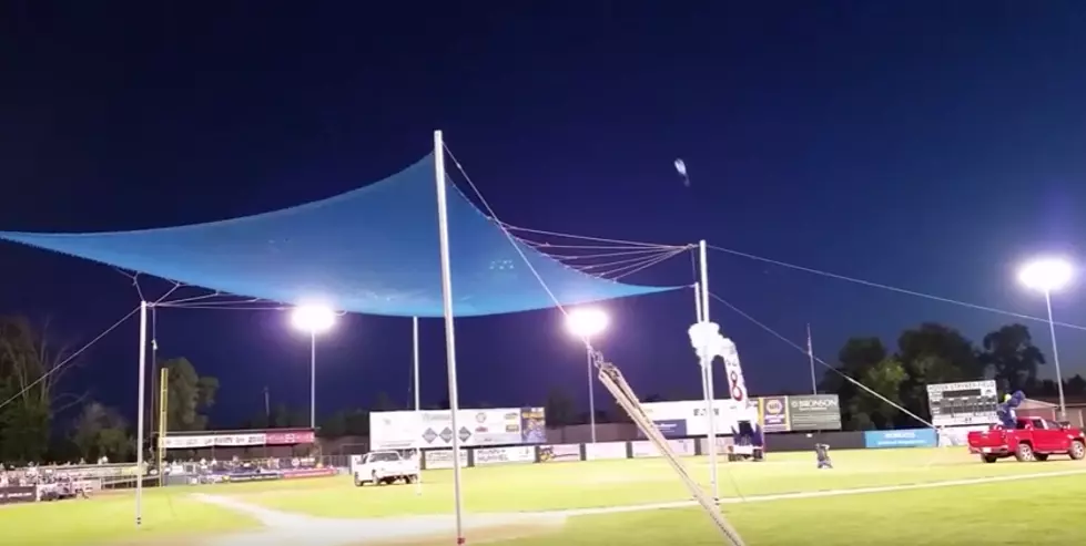 Watch the Human Cannonball at the Kalamazoo Growlers Game
