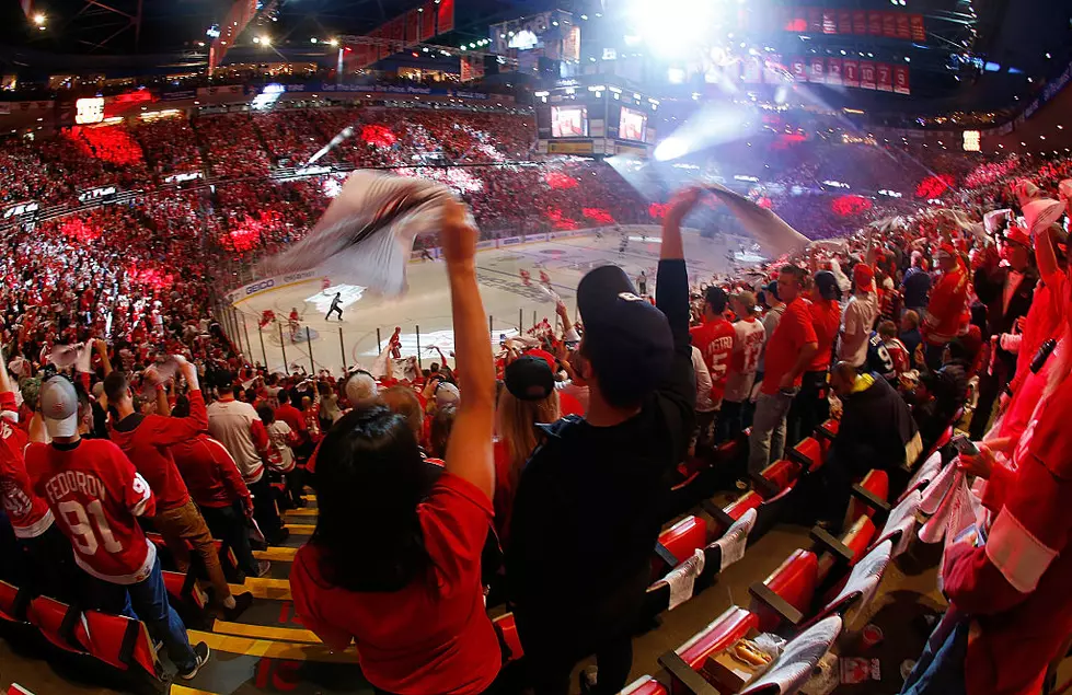 5 Reasons That Detroit Is The Top City In The U.S. For Hockey Fans