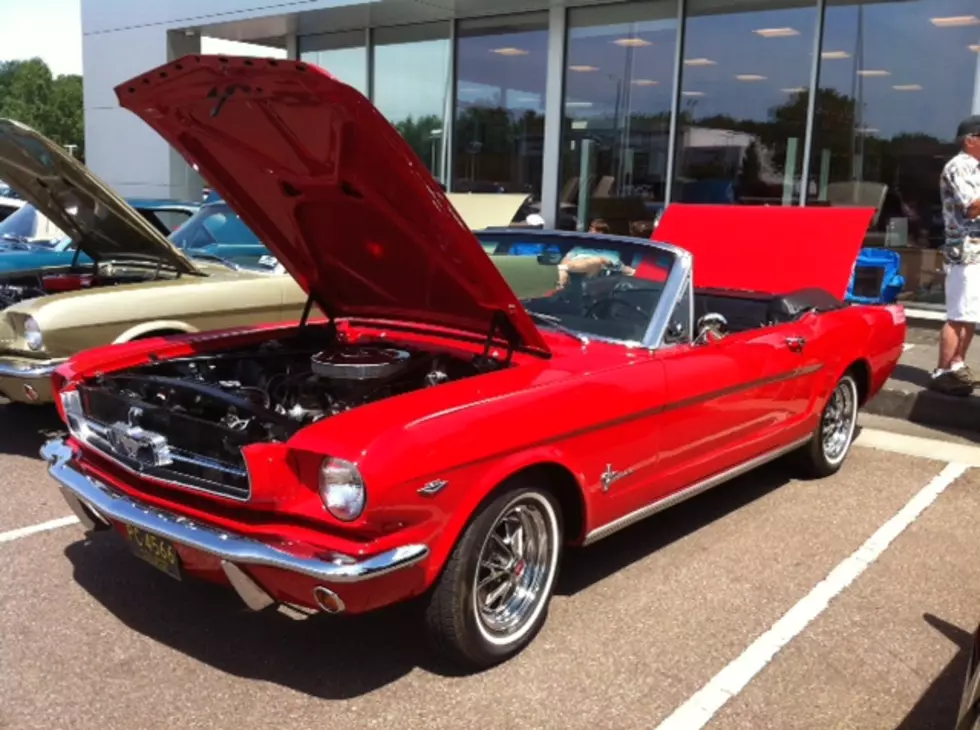 Huge Herd Of Pony Cars At Seelye Ford [Pics]