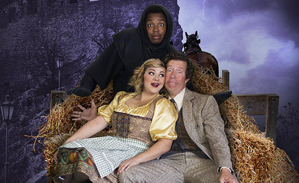 A Review of Civic&#8217;s Young Frankenstein