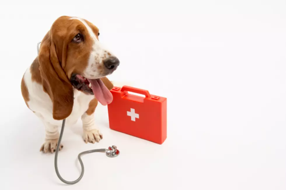 Pet Saving Oxygen Kits Donated to Kalamazoo Fire