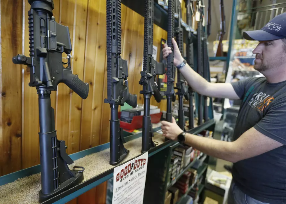 Michigan Bill To Take Guns Away From Unstable People Proposed