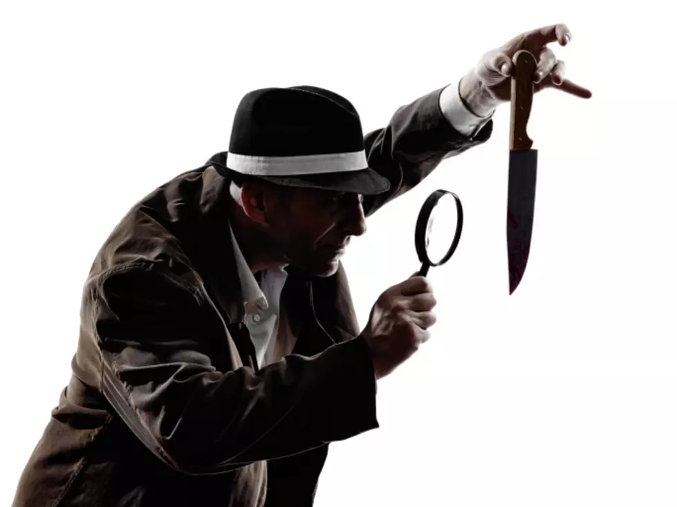 Murder Mystery Dinner at Henderson Castle – The Hunt is ON!