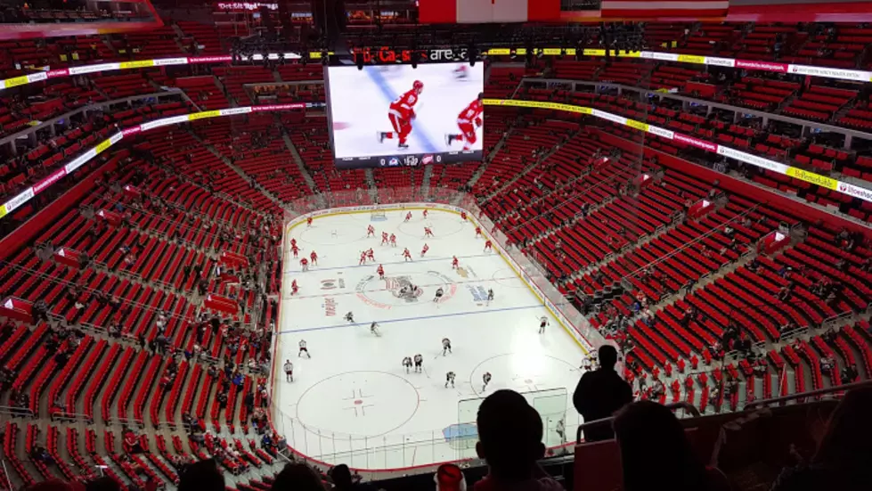 Red Wings Fans Can Paint The Ice At Little Caesars Arena