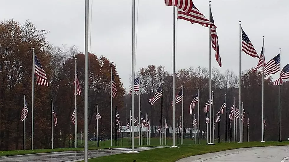 Memorial Day Events at Fort Custer National Cemetery Cancelled