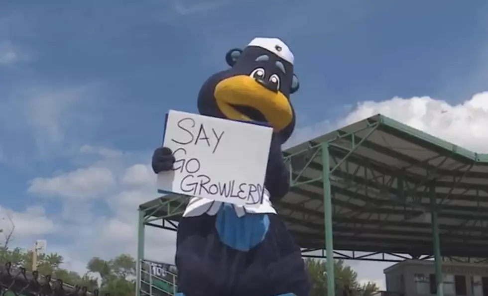 Kalamazoo Growlers To Host Fan Fest On Memorial Day