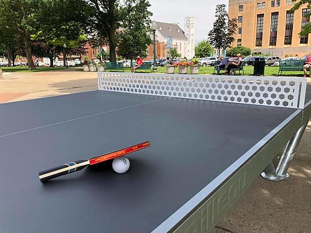 Ping Pong Comes to Bronson Park