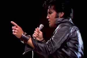 Suspicious Minds: Elvis Is Alive and Living in Kalamazoo