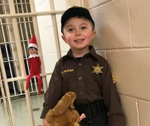 Fugitive Elf on the Shelf Arrested in Kalamazoo by Special Deputy